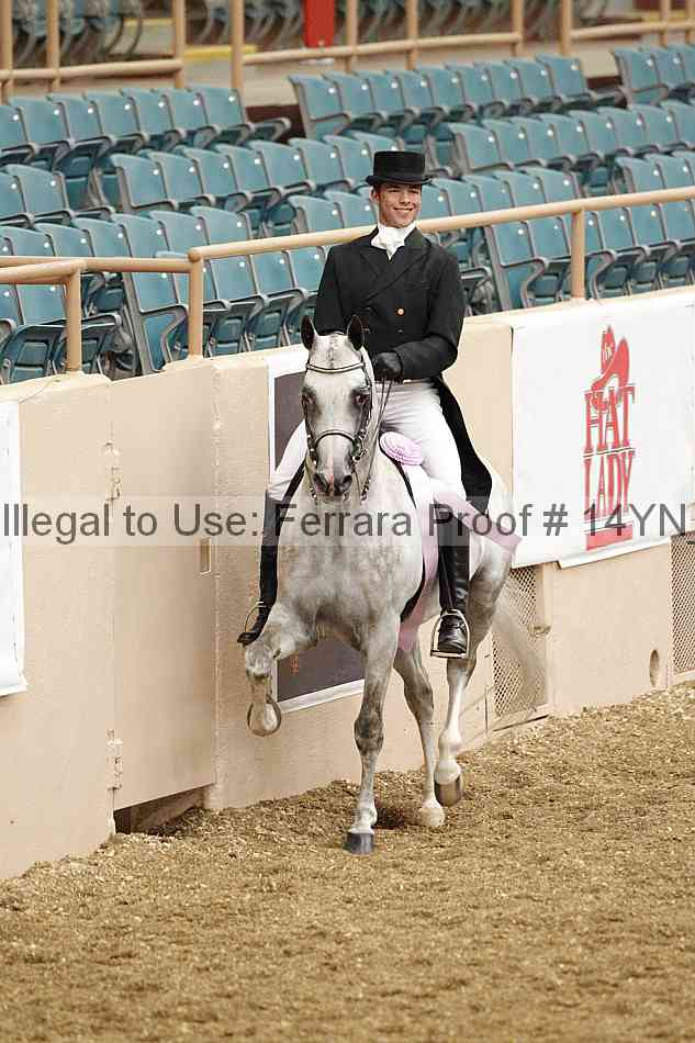Proof 14yn_01961