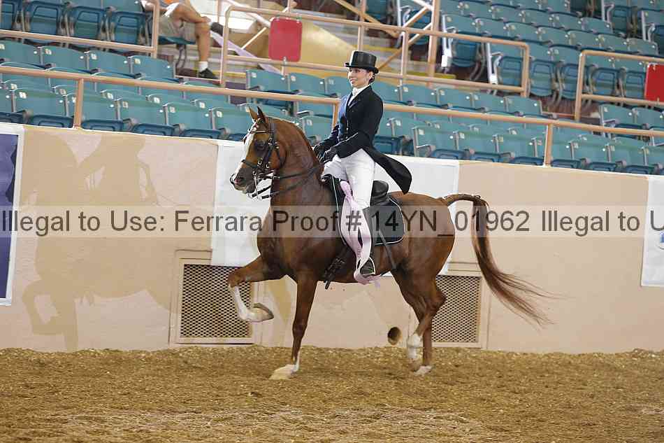 Proof 14yn_01962