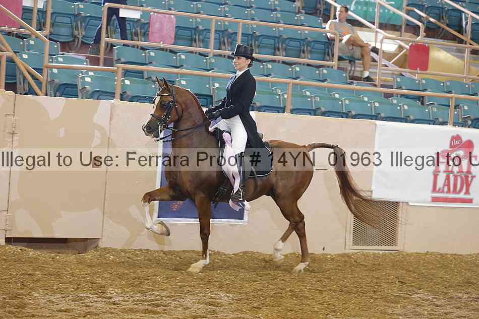 Proof 14yn_01963