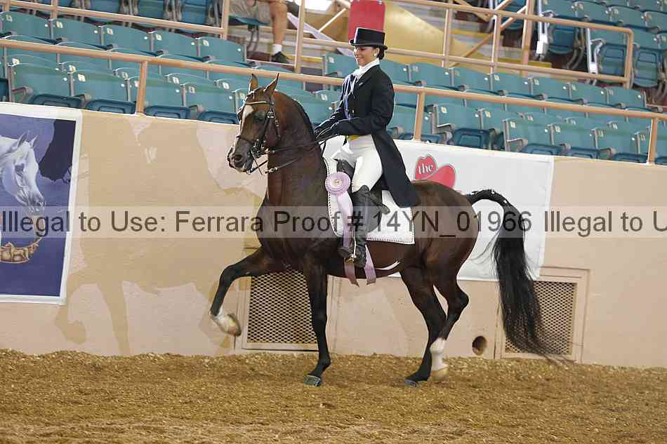 Proof 14yn_01966