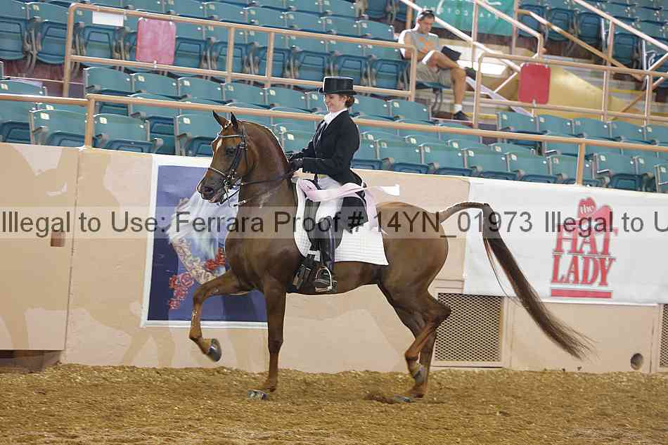 Proof 14yn_01973