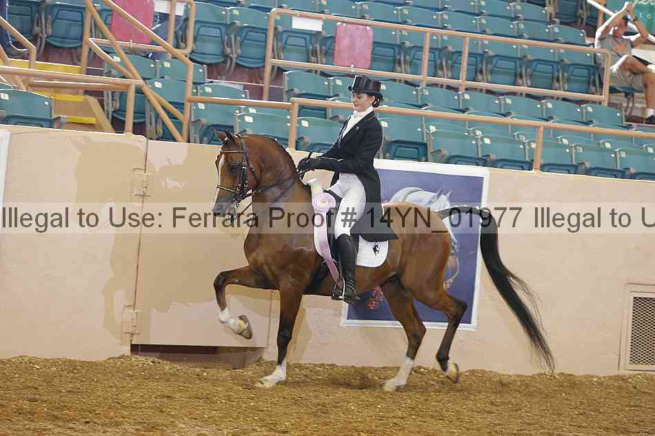 Proof 14yn_01977