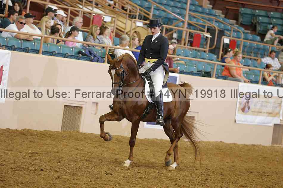 Proof 14yn_19918