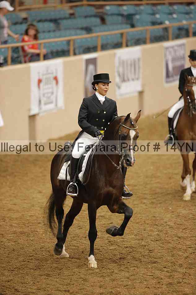 Proof 14yn_19924