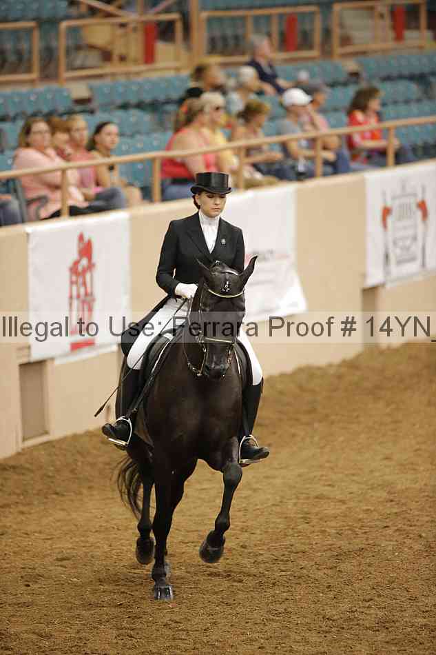 Proof 14yn_19932