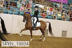 14yn_19934 proof