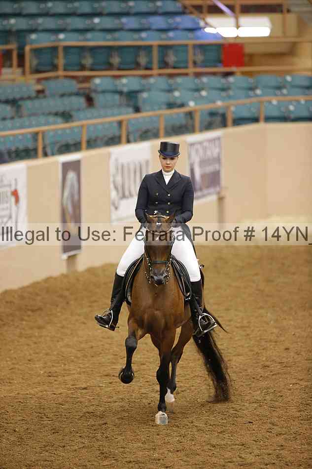 Proof 14yn_19935