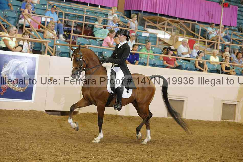 Proof 14yn_19936