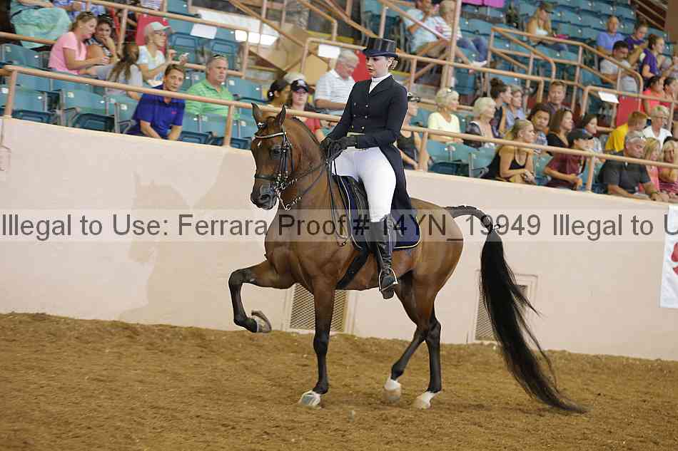 Proof 14yn_19949