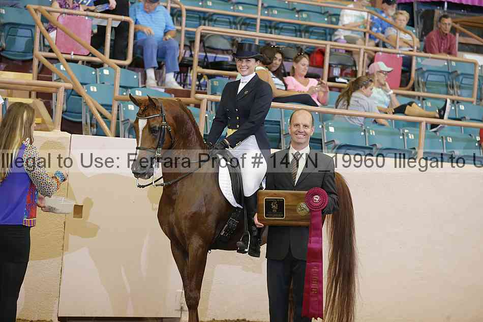 Proof 14yn_19960