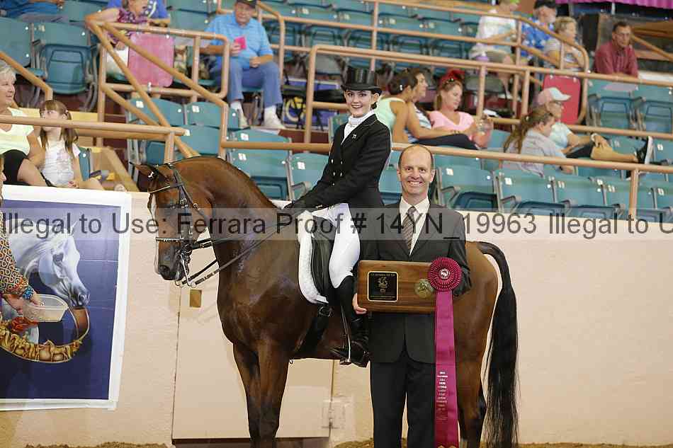 Proof 14yn_19963