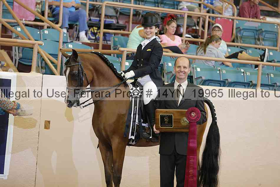 Proof 14yn_19965