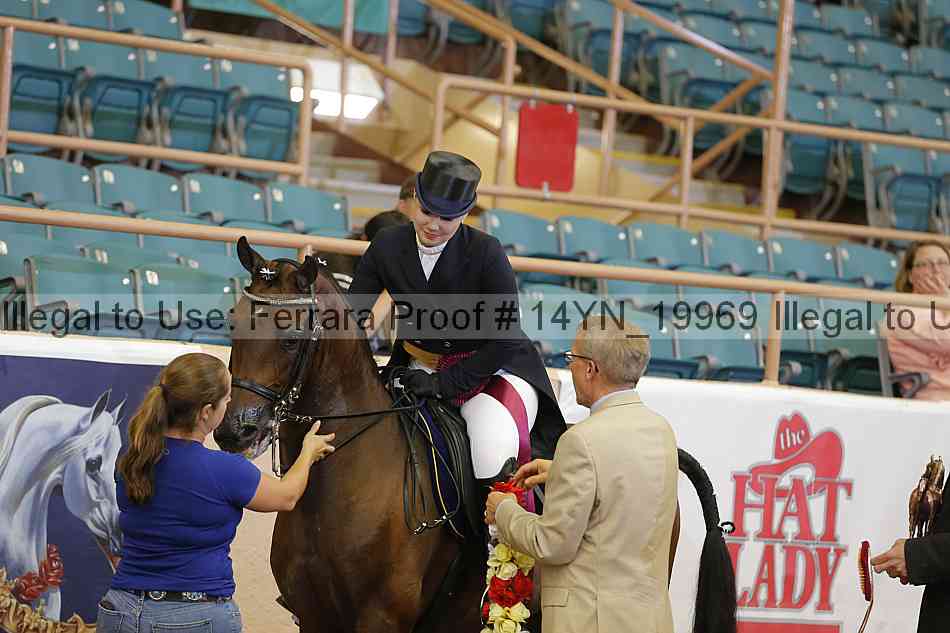 Proof 14yn_19969