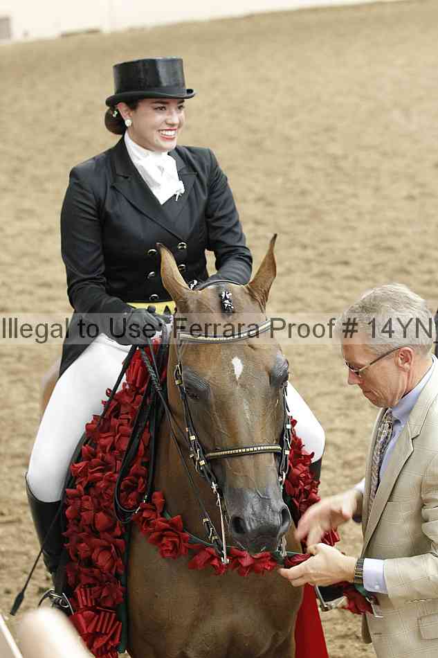 Proof 14yn_20009