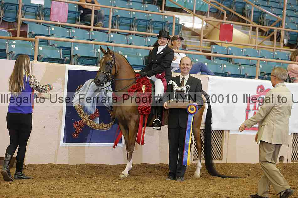 Proof 14yn_20010