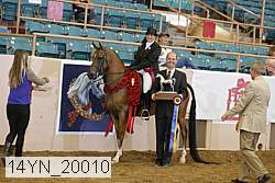 14yn_20010 proof