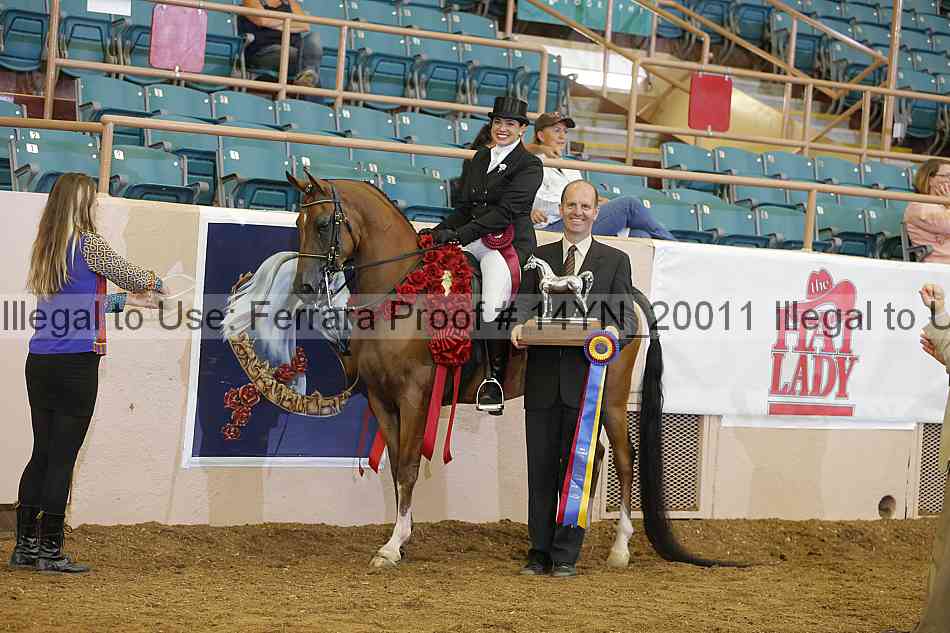 Proof 14yn_20011