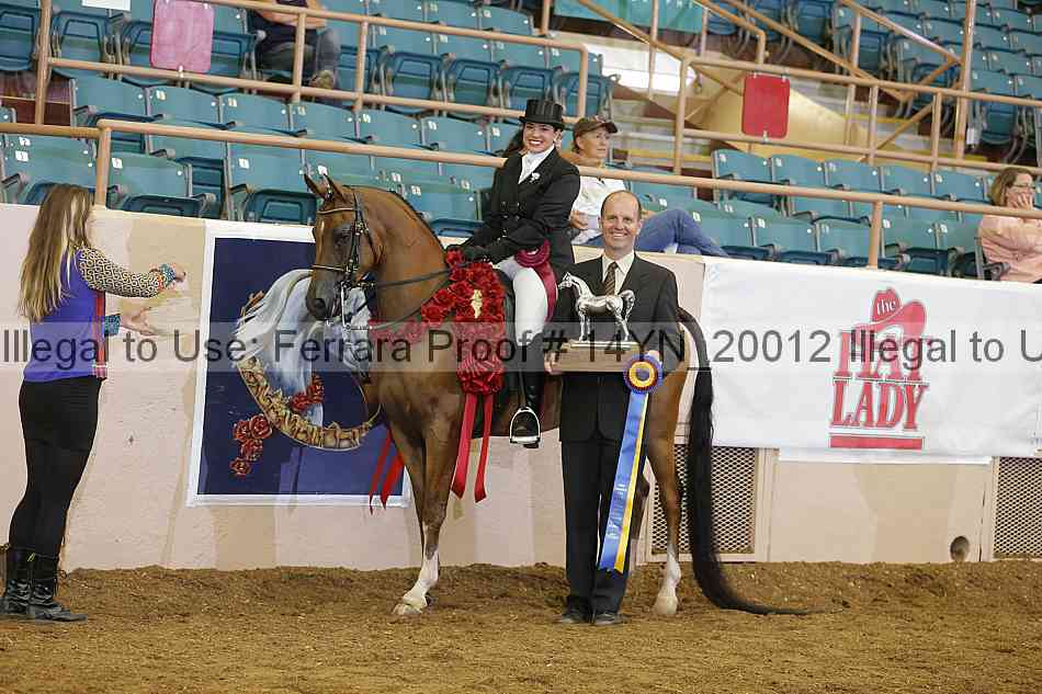 Proof 14yn_20012