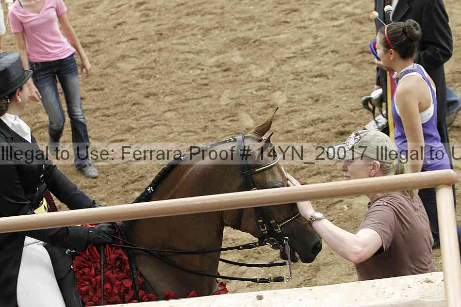 Proof 14yn_20017