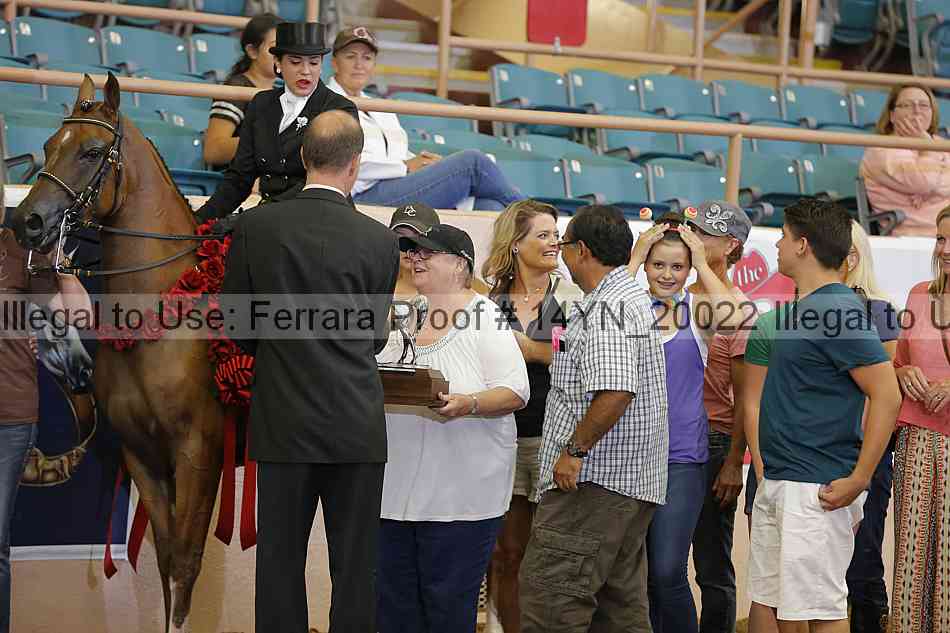 Proof 14yn_20022