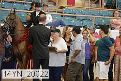 14yn_20022 proof