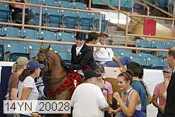 14yn_20028 proof