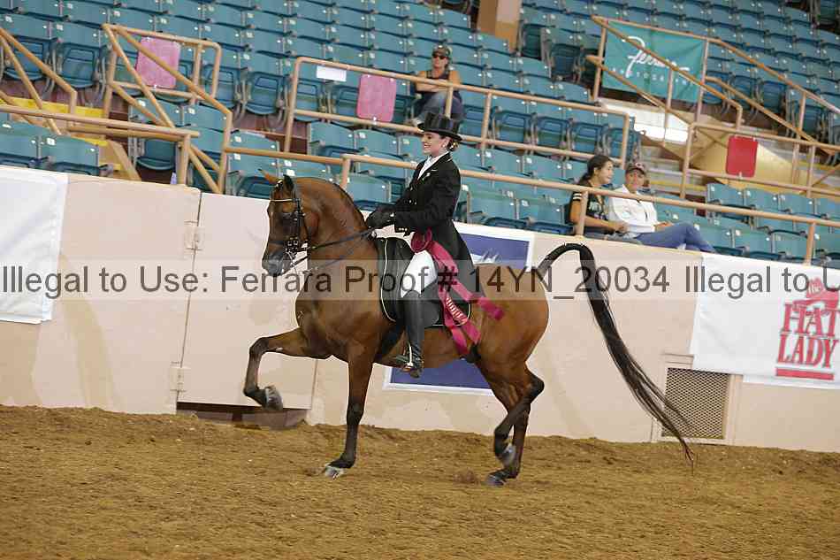 Proof 14yn_20034