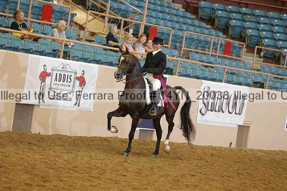 Proof 14yn_20038