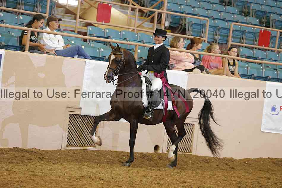 Proof 14yn_20040