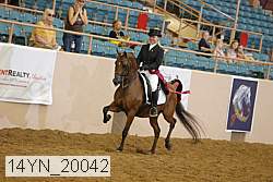 14yn_20042 proof