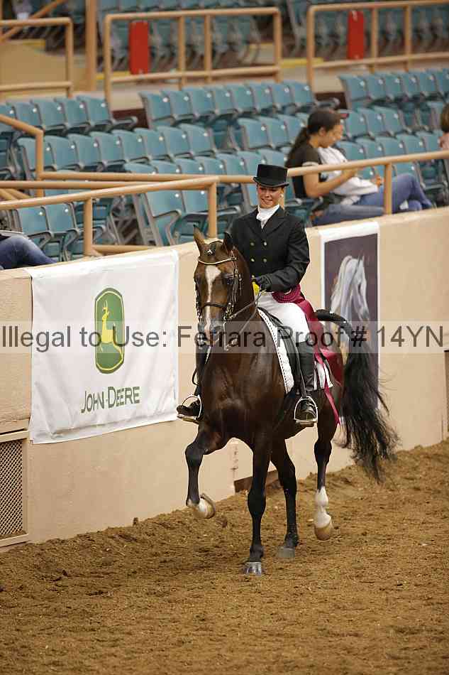 Proof 14yn_20044