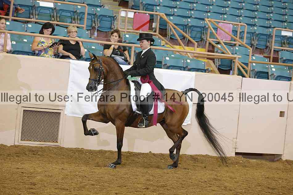 Proof 14yn_20045