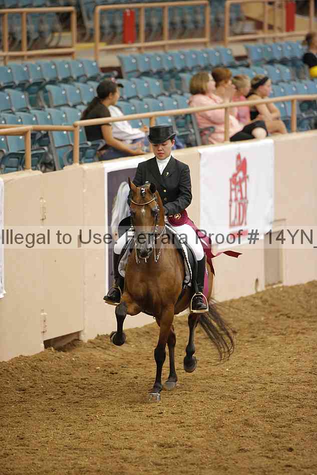 Proof 14yn_20046
