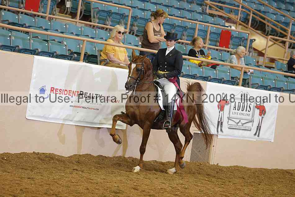 Proof 14yn_20048