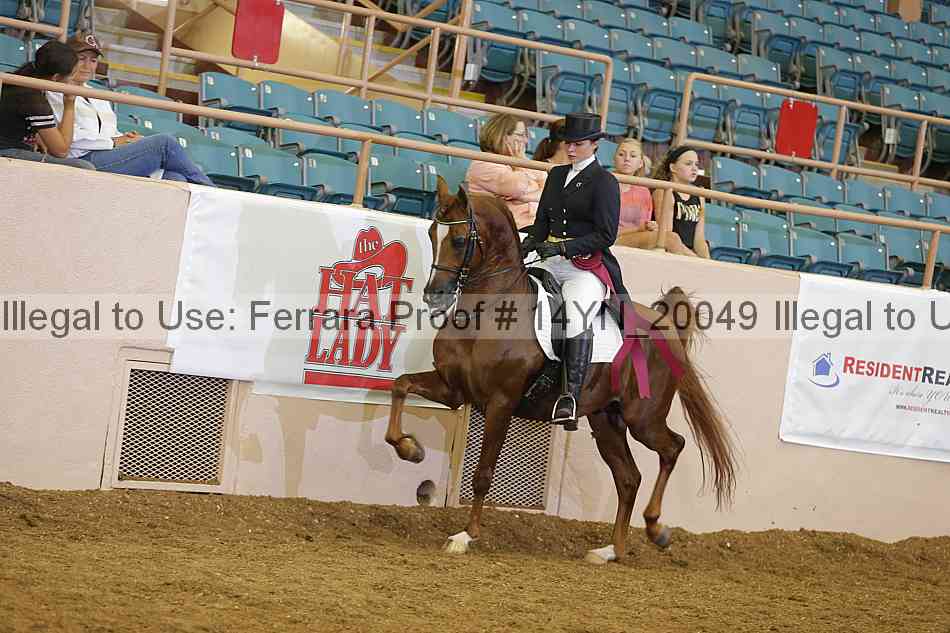 Proof 14yn_20049