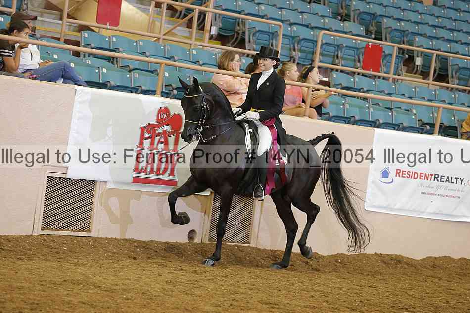 Proof 14yn_20054