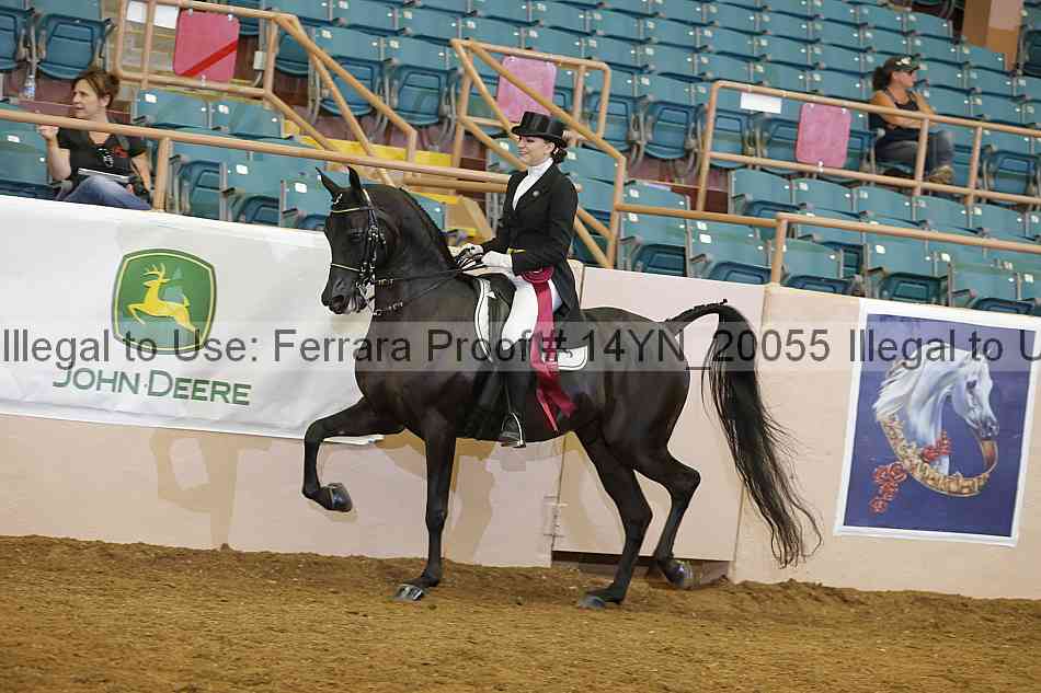 Proof 14yn_20055