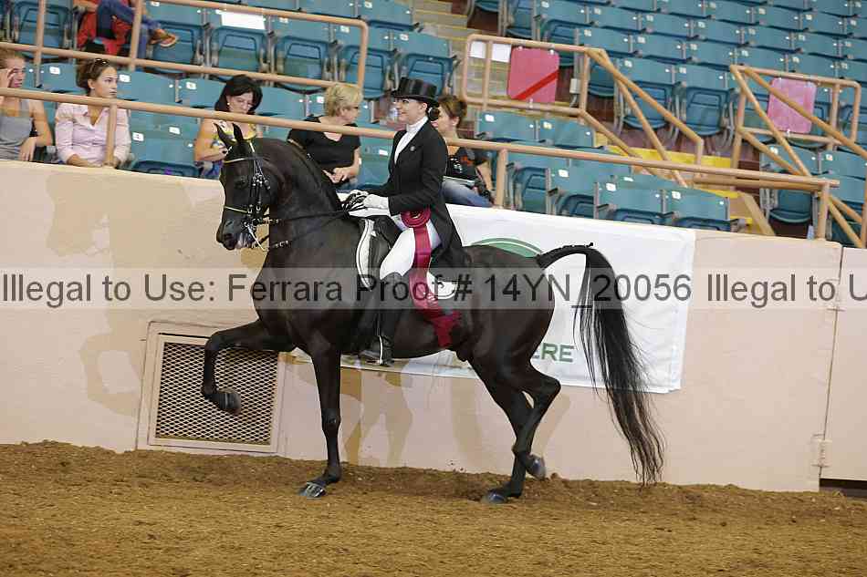Proof 14yn_20056