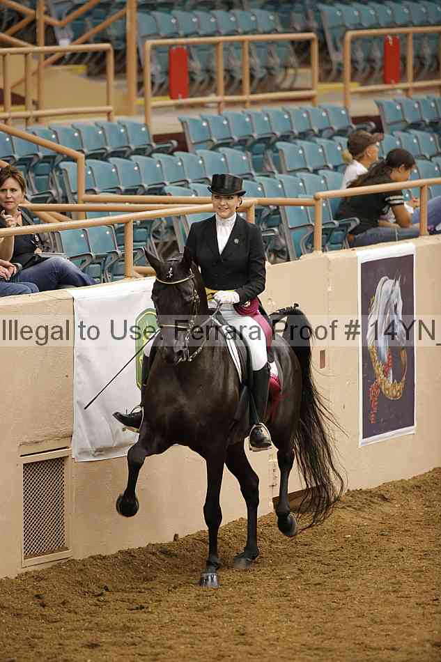 Proof 14yn_20057