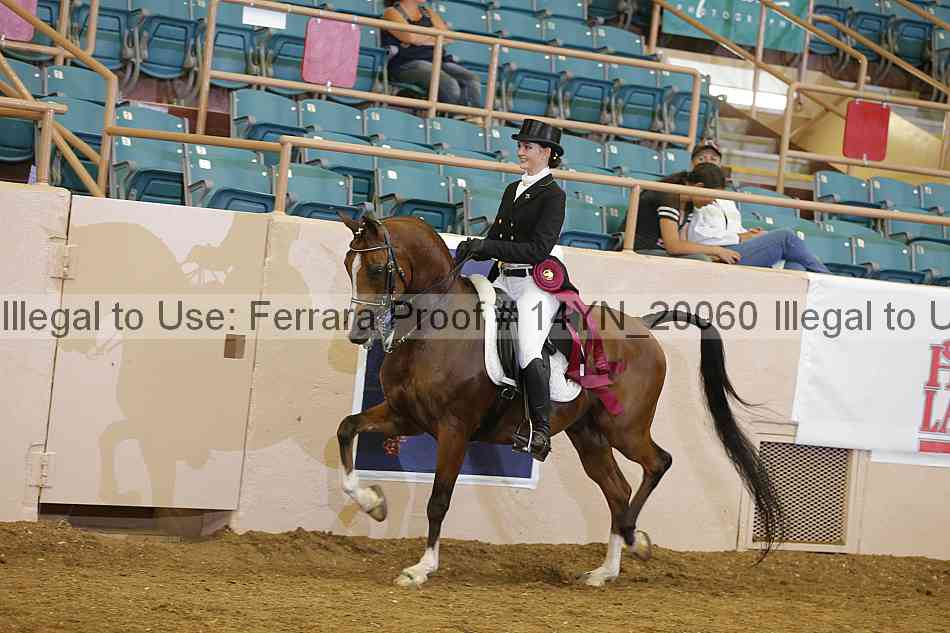 Proof 14yn_20060