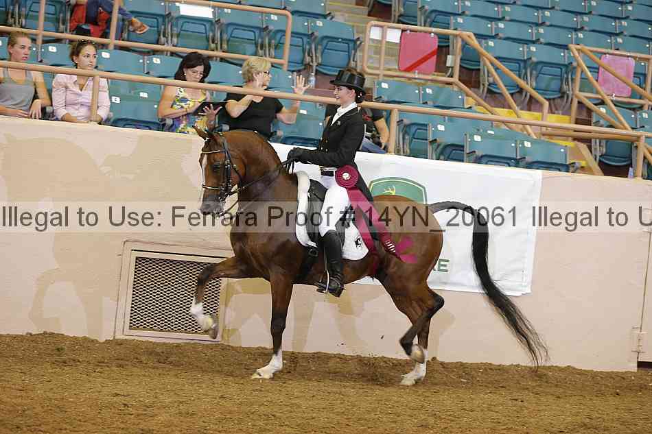 Proof 14yn_20061