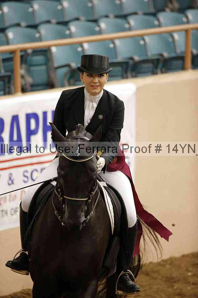 Proof 14yn_20062