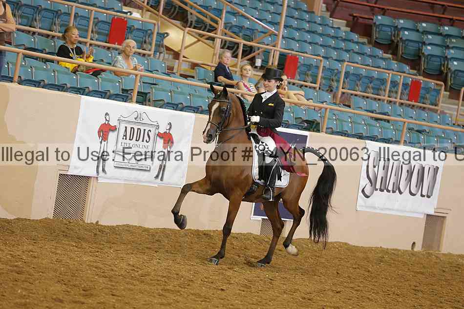 Proof 14yn_20063
