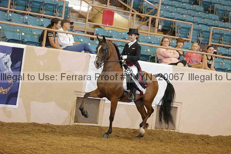 Proof 14yn_20067