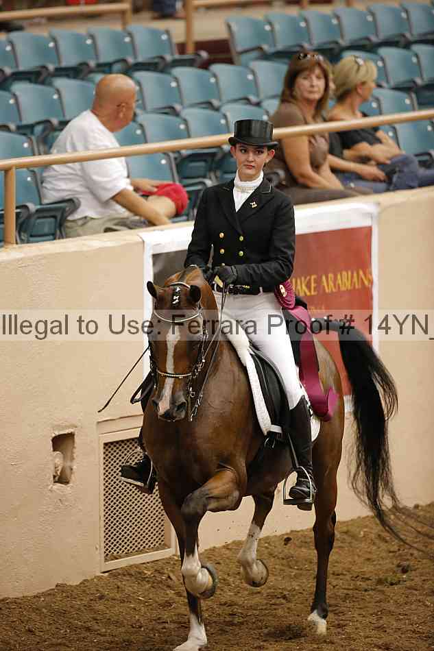 Proof 14yn_20068