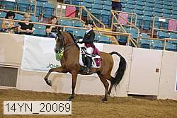 14yn_20069 proof
