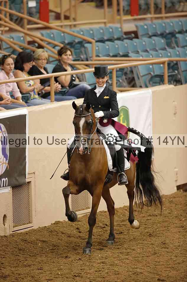 Proof 14yn_20072