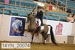 14yn_20074 proof