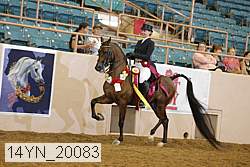 14yn_20083 proof