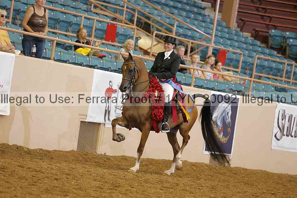Proof 14yn_20092